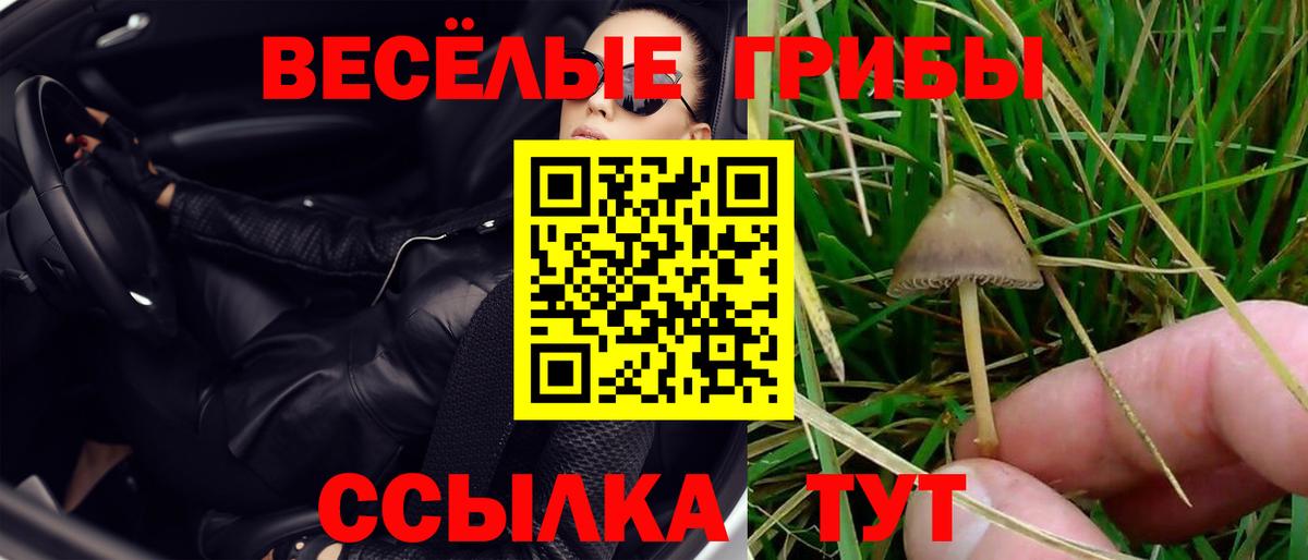 Галлюциногенные грибы прущие грибы Джанкой